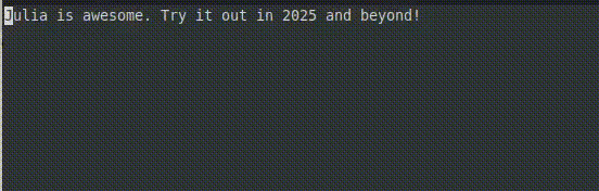 Figure 14: A terminal based application that measures typing speed (animation works only in an HTML document).